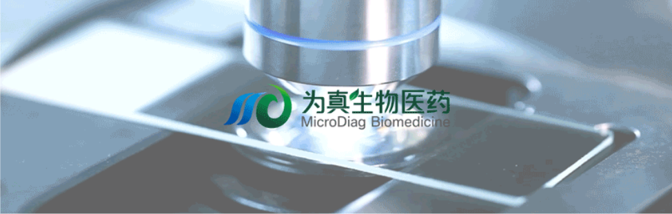 王莹院长领衔，王弢博士技术负责的研发项目获浙江省2024年度“尖兵”“领雁”研发攻关计划项目立项